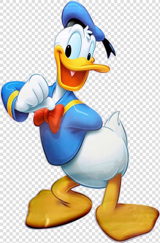 Donald Duck Png   Clipart Donald Duck Png  Transparent PngTransparent PNG