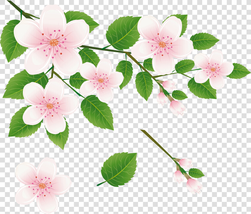 Spring Tree Branch With Flowers Png Clipart Picture   Flower Of Tree Clipart  Transparent PngTransparent PNG