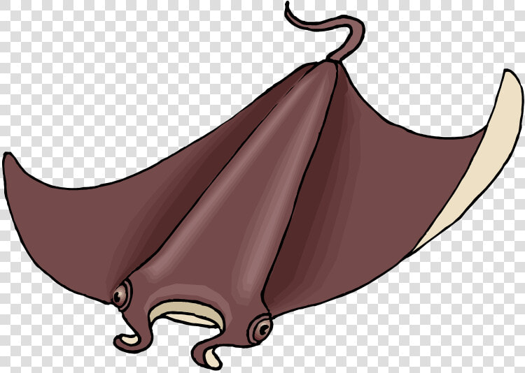 Sting Ray Clipart Png Transparent Png   Png Download   Stingray  Png DownloadTransparent PNG