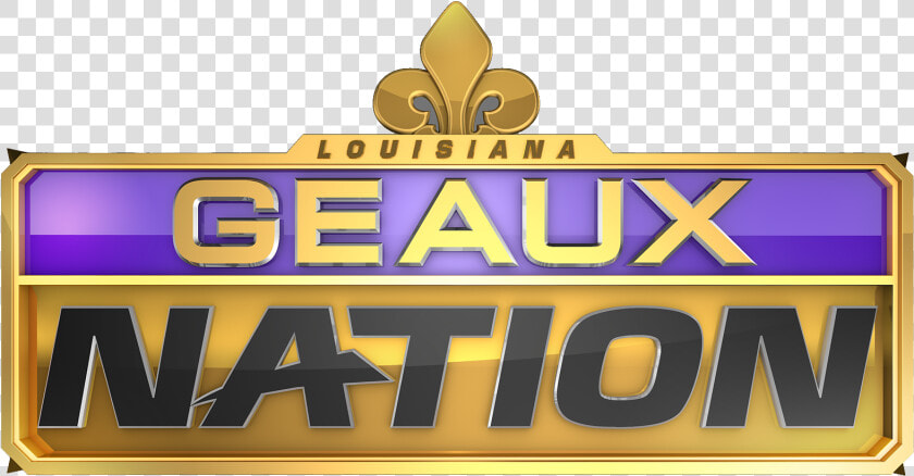 Nfl Scout Full Conversation On Lsu Vs Ucf In The Fiesta   Illustration  HD Png DownloadTransparent PNG