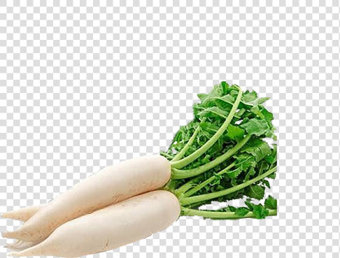 Picture Of Radish   Radish Png  Transparent PngTransparent PNG