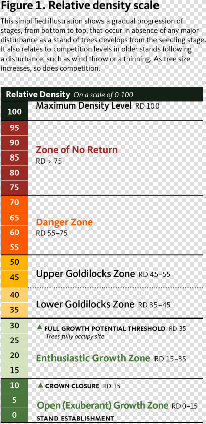 This Simplified Illustration Shows A Gradual Progression   Density Top Or Bottom  HD Png DownloadTransparent PNG