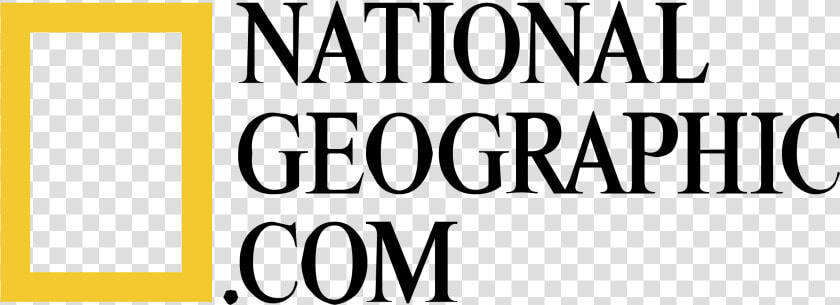 National Geographic Logo Transparent  HD Png DownloadTransparent PNG