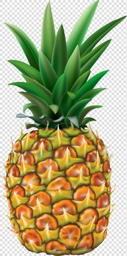 Pineapple Clipart Transparent Background Pencil And   Pineapple Clipart Transparent  HD Png DownloadTransparent PNG