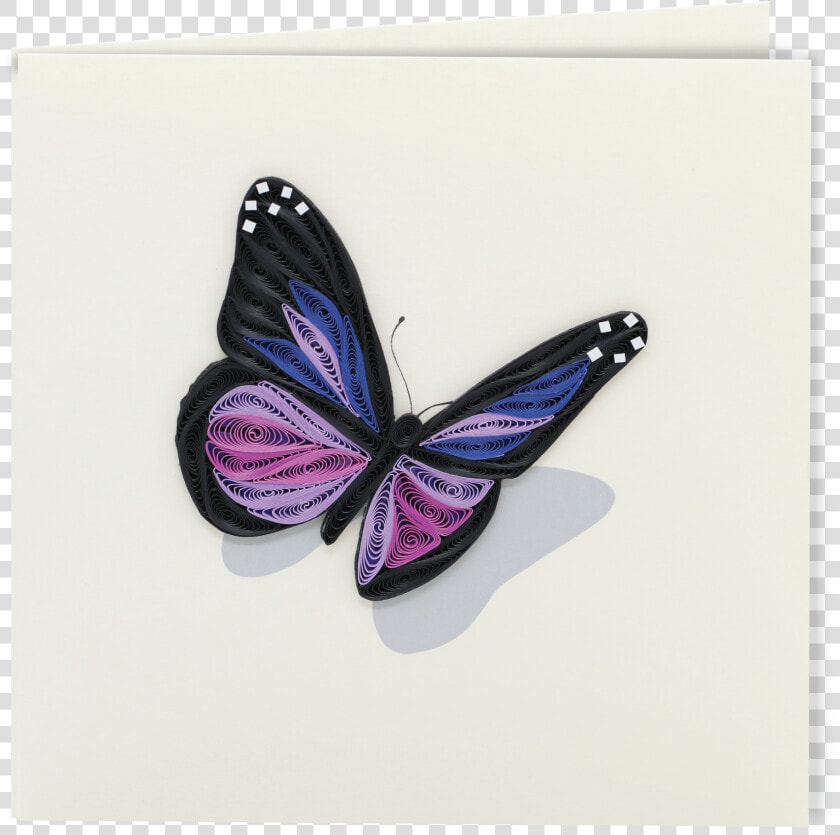 Butterfly   Limenitis  HD Png DownloadTransparent PNG