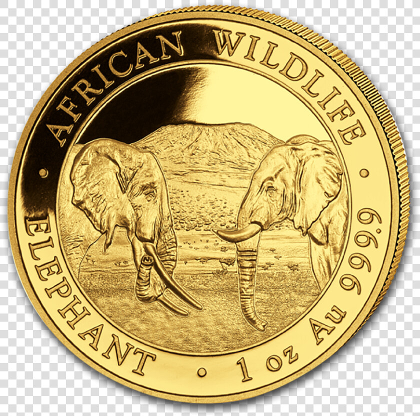 2020 1 Oz Somalia Elephant 9999 Gold Coin Bu   Gold Coin 2020 Bullion  HD Png DownloadTransparent PNG