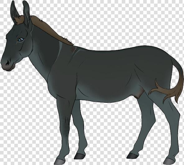 Burro  HD Png DownloadTransparent PNG