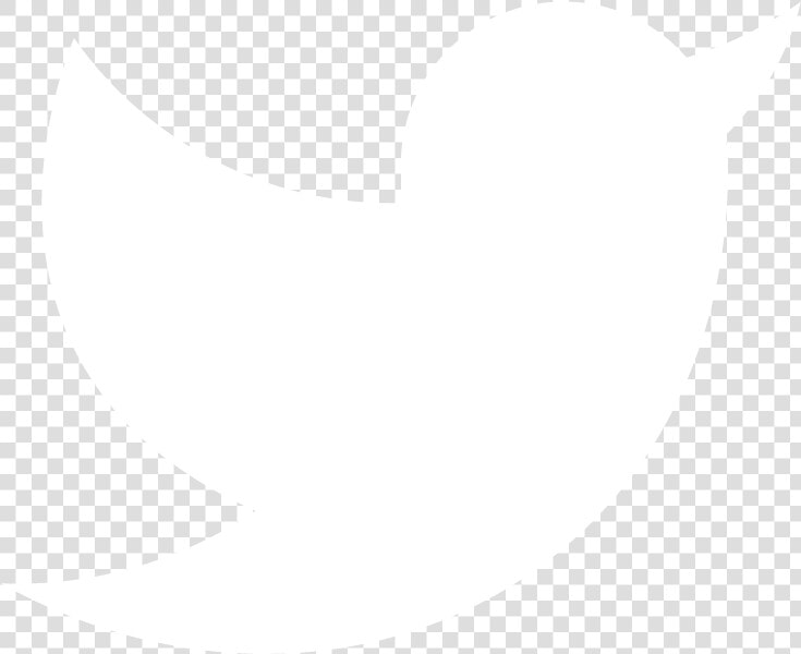 White Transparent Twitter Logo Clipart   Png Download   Icon Twitter White Png  Png DownloadTransparent PNG