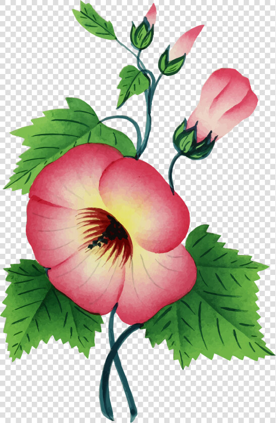 Colorful  Floral  Flower  Plant  Vintage   One Stem Flower Png  Transparent PngTransparent PNG