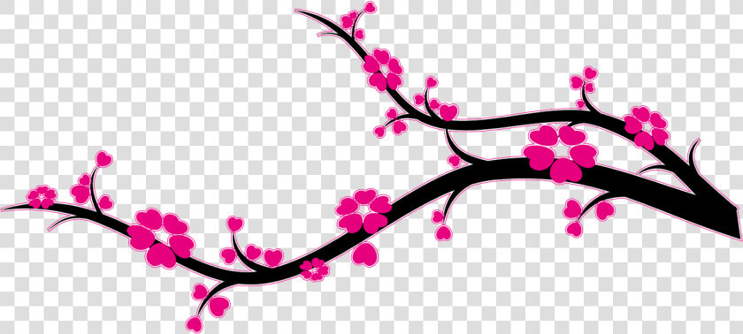 Branche Cerisier Du Japon   Png Download   Branche Cerisier Png  Transparent PngTransparent PNG