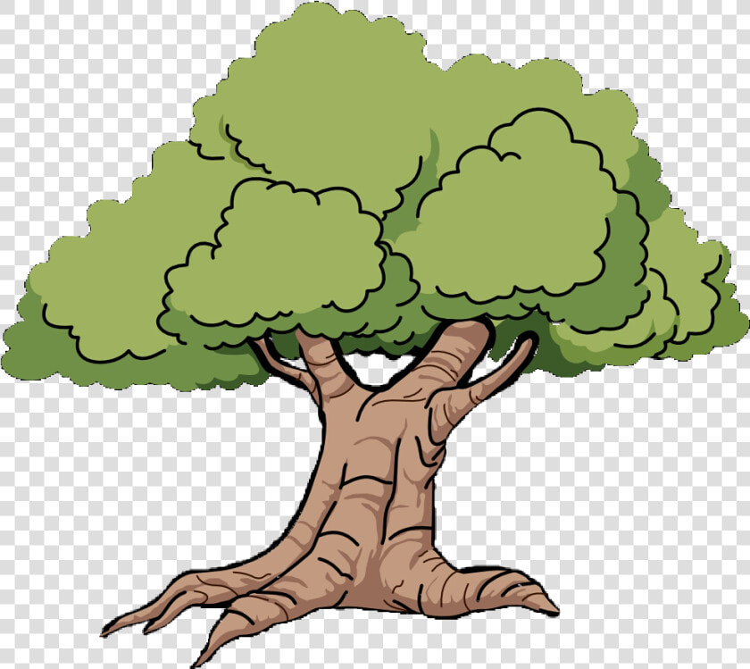 Mississippi Outline Oak Grove Clip Art   Cartoon Oak Tree  HD Png DownloadTransparent PNG