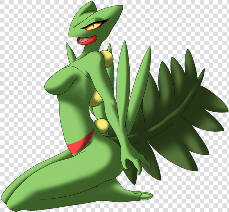 Green Vertebrate Plant Leaf Cartoon Fictional Character   Imágenes De Pokemon Sceptile  HD Png DownloadTransparent PNG