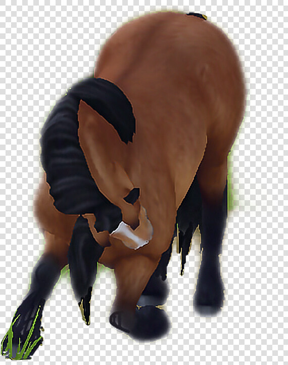  kompliment  figur  figure  sso  pony  norvik  emoji   Mustang Horse  HD Png DownloadTransparent PNG