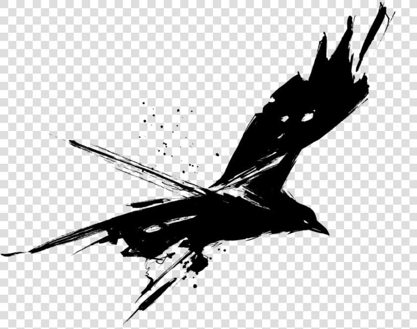 Raven Collective Media  HD Png DownloadTransparent PNG