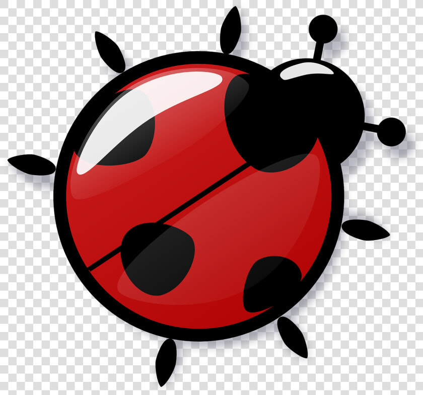 Icon Ladybug Transparent   Png Mariquita  Png DownloadTransparent PNG