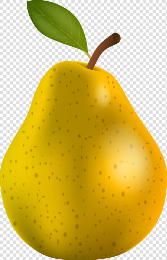 Pear Clipart Different Kind Fruit   Pears Images Clip Art  HD Png DownloadTransparent PNG