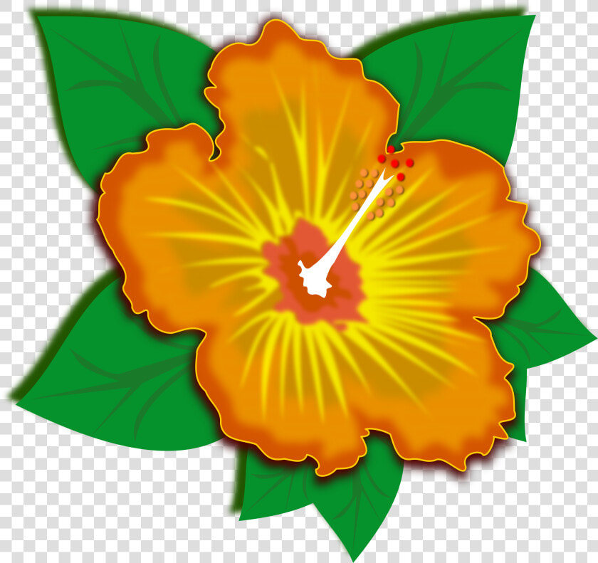 Hibiscus plant flower   ภาพ ตัด ปะ สวย ๆ  HD Png DownloadTransparent PNG