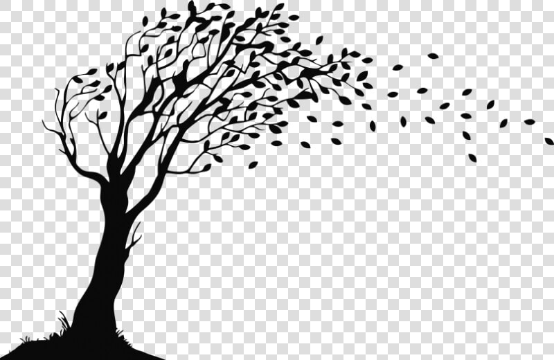 Duckbill Books And Publications Pvt Ltd   Tree Blowing In The Wind Silhouette  HD Png DownloadTransparent PNG