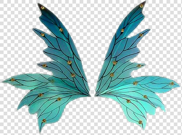  asas  fada  wings  fairy From Google   Illustration  HD Png DownloadTransparent PNG