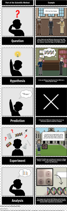 Scientific Method With Dna Style Max Width   Vitenskapelig Metode  HD Png DownloadTransparent PNG