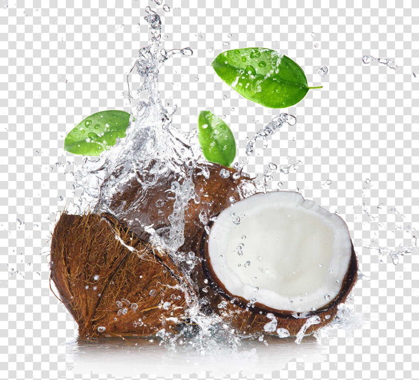 Coconut Oil Png   Coconut With Oil Drop  Transparent PngTransparent PNG