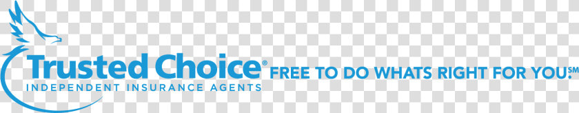 Tagline Light Blue On Transparent   Trusted Choice  HD Png DownloadTransparent PNG