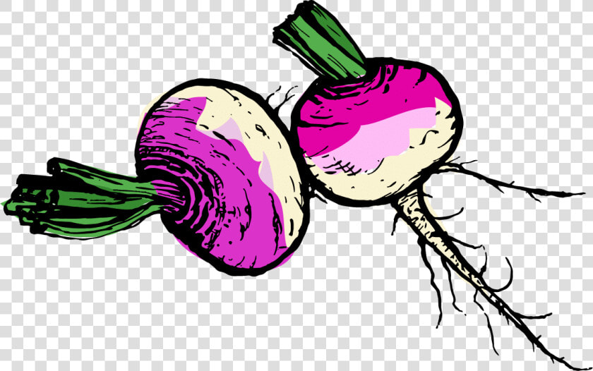 Turnip Png  Transparent PngTransparent PNG