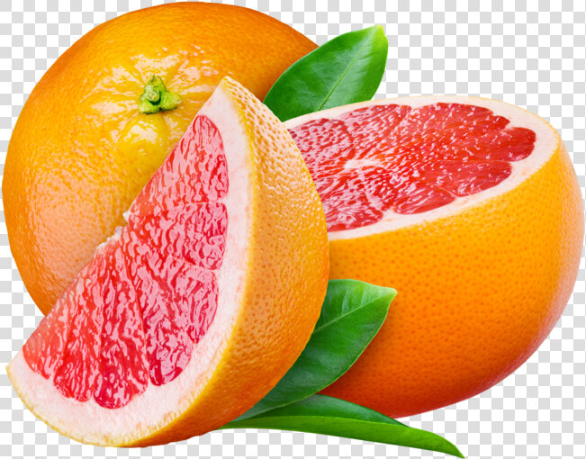 Grapefruit Png Image   Grapefruit Png  Transparent PngTransparent PNG