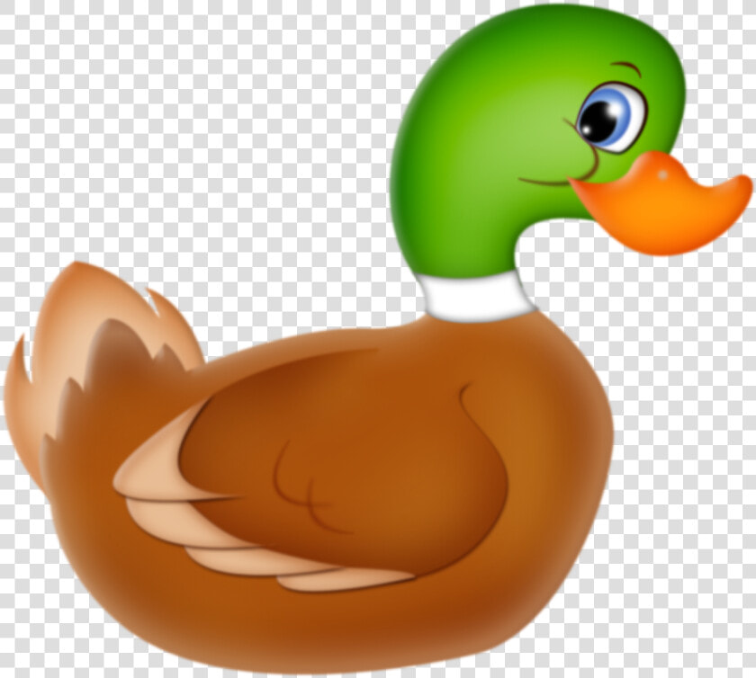 Mallard Duck   Mc Donalds  Quack Quack  Cute Images    Kačka Png  Transparent PngTransparent PNG