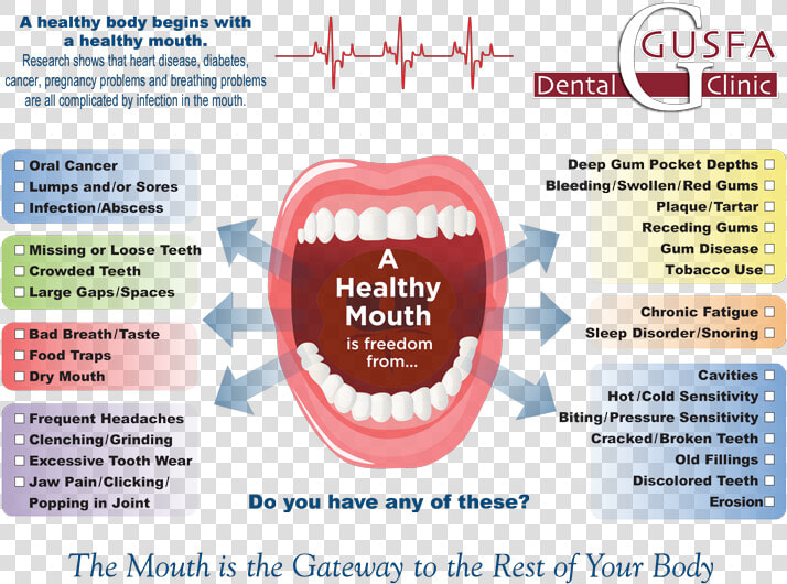 Transparent Mouth Blood Png   Healthy Mouth  Png DownloadTransparent PNG