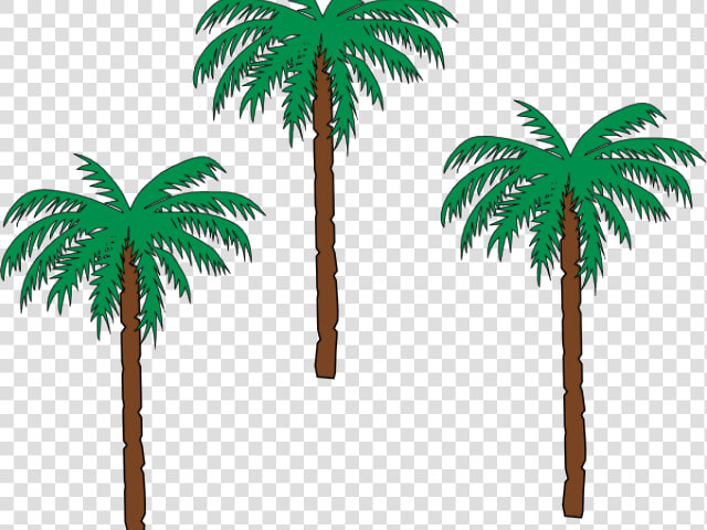 Date Palm Clipart Pom Tree   Small Palm Trees Clipart  HD Png DownloadTransparent PNG