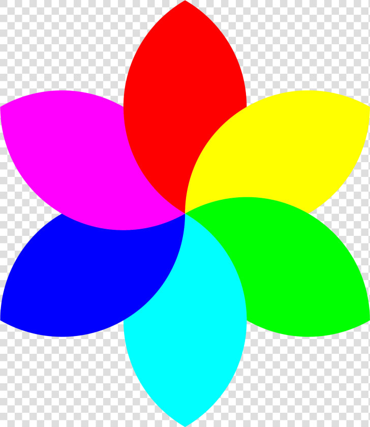 Simple Clip Art 6 Medium Size   Flower Color Wheel Drawing  HD Png DownloadTransparent PNG