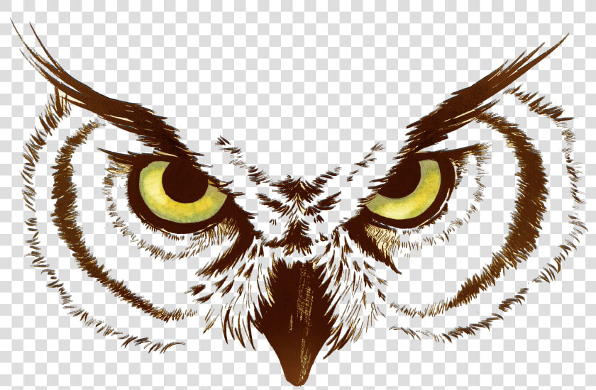 Ojos De Buho Dibujo  HD Png DownloadTransparent PNG