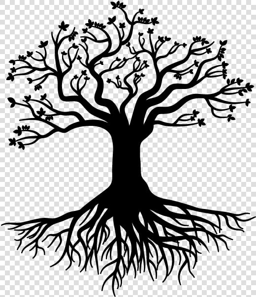 Root Tree Stock Photography Gratis   Large Tree With Roots  HD Png DownloadTransparent PNG