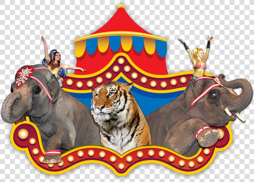 Shrine Circus Tigers And Elephants  HD Png DownloadTransparent PNG