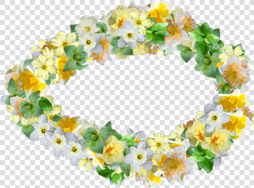 Daffodils  Flowers  Spring  Narcissus  Decoration   Sunflower  HD Png DownloadTransparent PNG