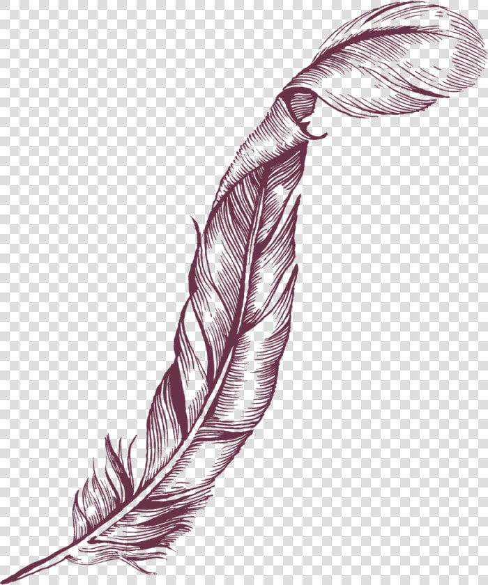 Hg Interiors Feather Purple Up   Illustration  HD Png DownloadTransparent PNG