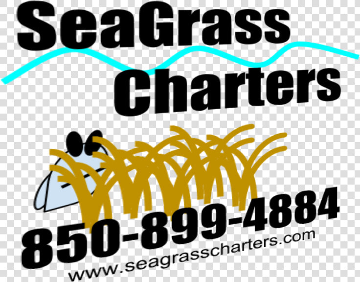 Seagrass Charters   Graphic Design  HD Png DownloadTransparent PNG