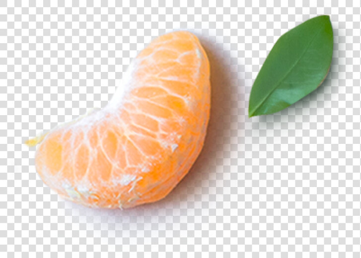 Mandarin Orange  HD Png DownloadTransparent PNG