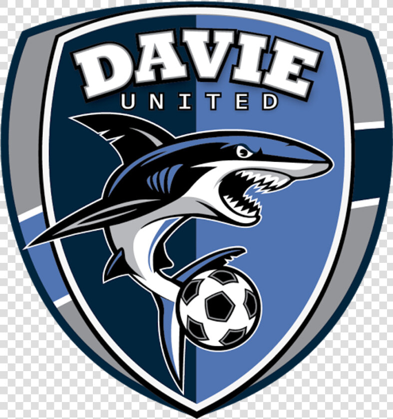 Sharks Logo Club   Png Download   Davie Sharks  Transparent PngTransparent PNG