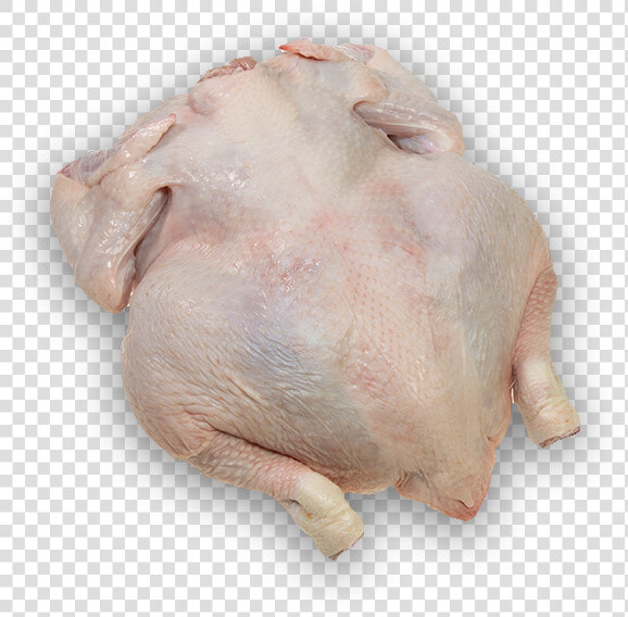 Turkey Meat   Png Download   Turkey Meat  Transparent PngTransparent PNG