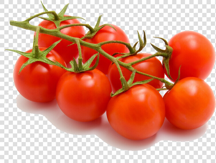 Cherry Tomatoes Pictures To Pin On Pinterest   Organic Tomato Png  Transparent PngTransparent PNG