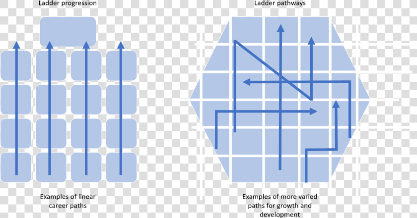 Career Ladder Vs Career Lattice  HD Png DownloadTransparent PNG