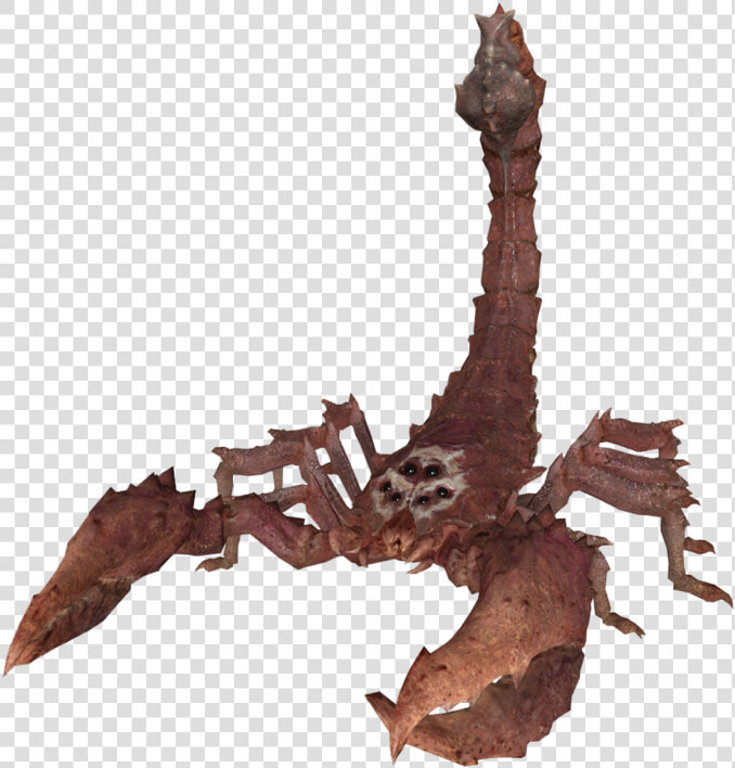 Fallout 3 Albino Scorpion  HD Png DownloadTransparent PNG