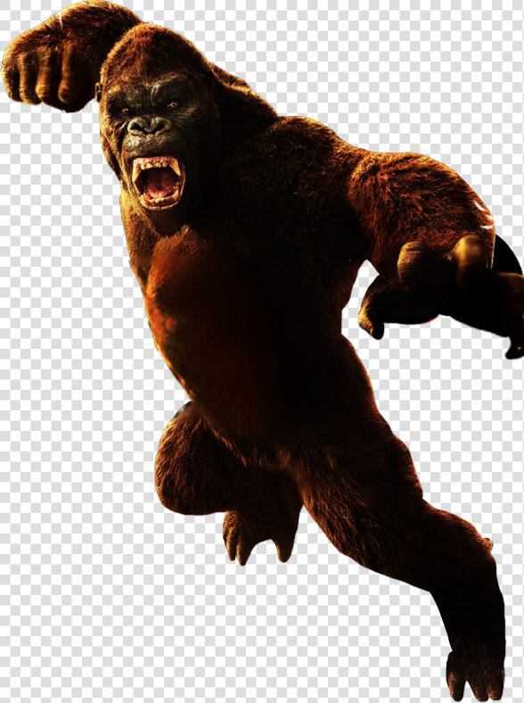 The Stuingtion And Hiatt Grey Cinematic Universe W   Kong Skull Island Png  Transparent PngTransparent PNG