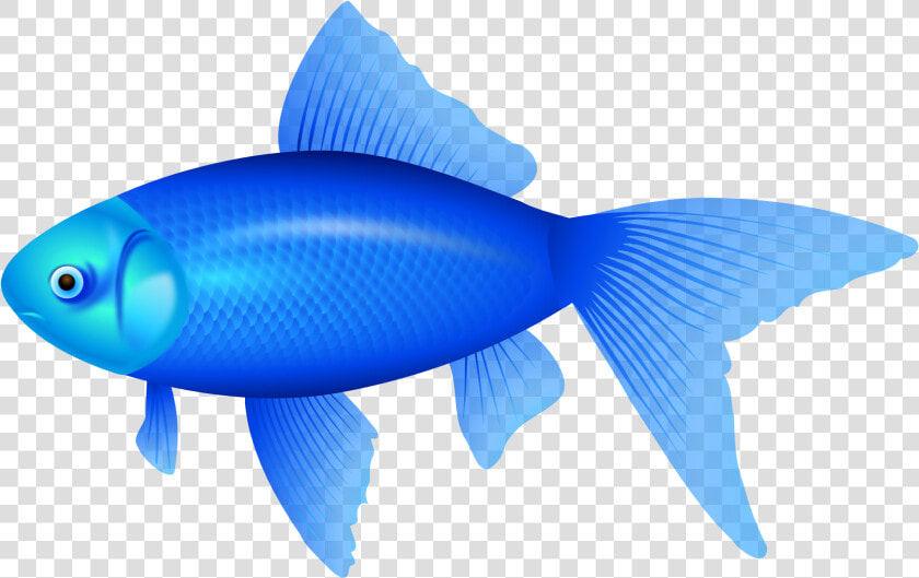 Blue Fish Png Clipart Image   Blue Fish Clipart  Transparent PngTransparent PNG