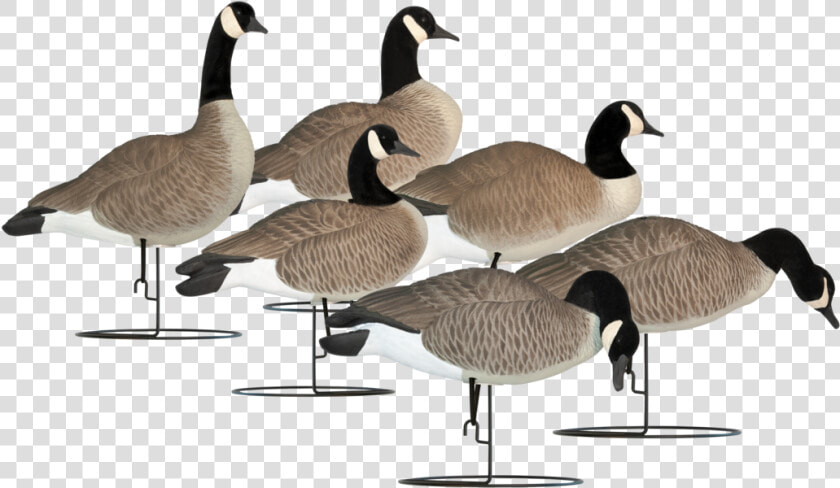 Hardcore Full Body Goose Decoys  HD Png DownloadTransparent PNG