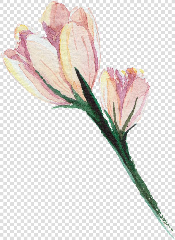 Pink Hand Painted Watercolor Transparent Flower   Artificial Flower  HD Png DownloadTransparent PNG