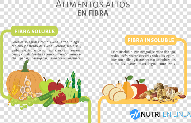 Fibra Alimentos   Fibra Alimentaria Beneficios  HD Png DownloadTransparent PNG