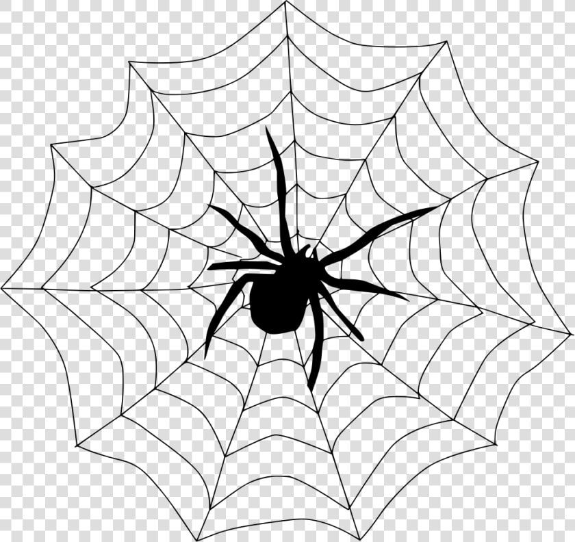 Spiderweb Drawing Creepy   Spider On A Web Clipart  HD Png DownloadTransparent PNG